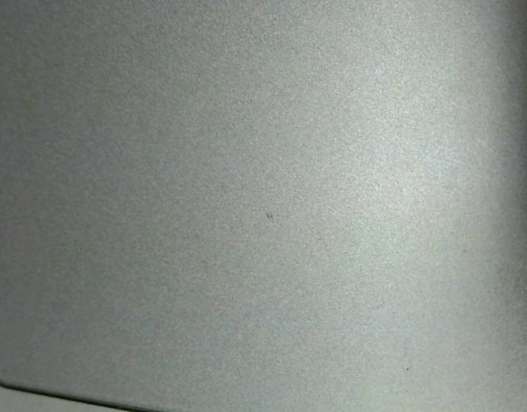 左前叶内