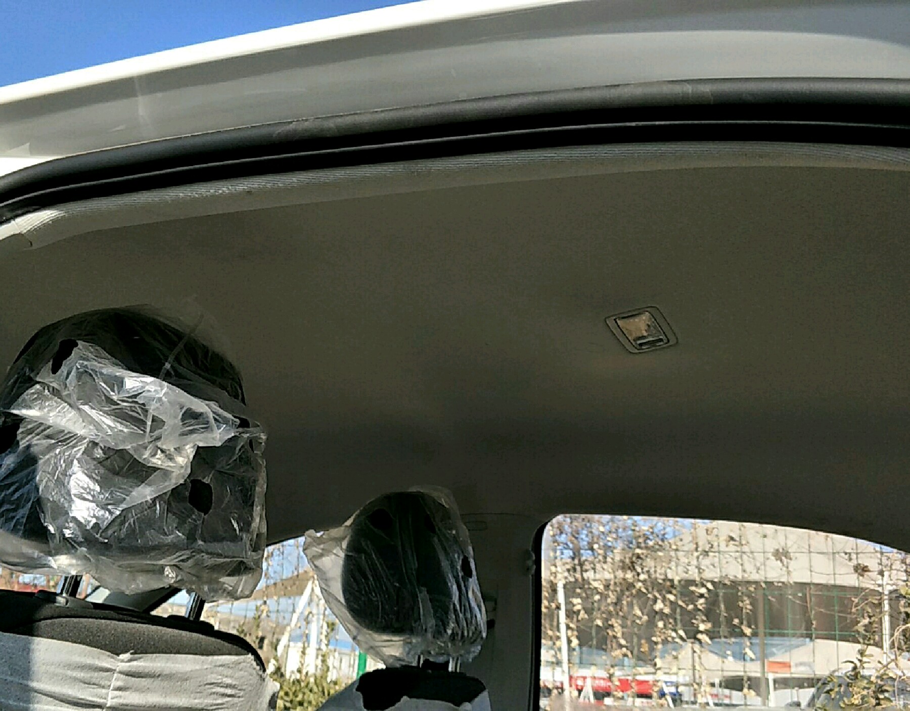 车辆内顶