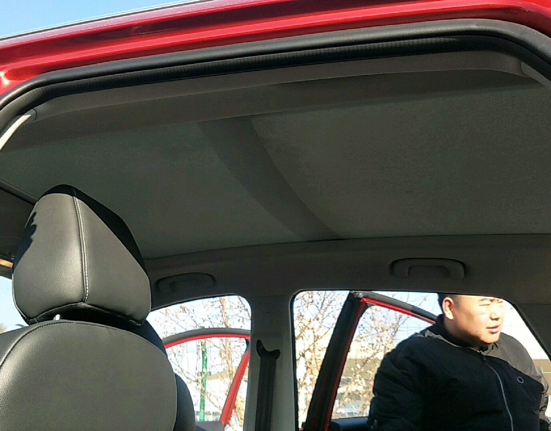 车辆内顶