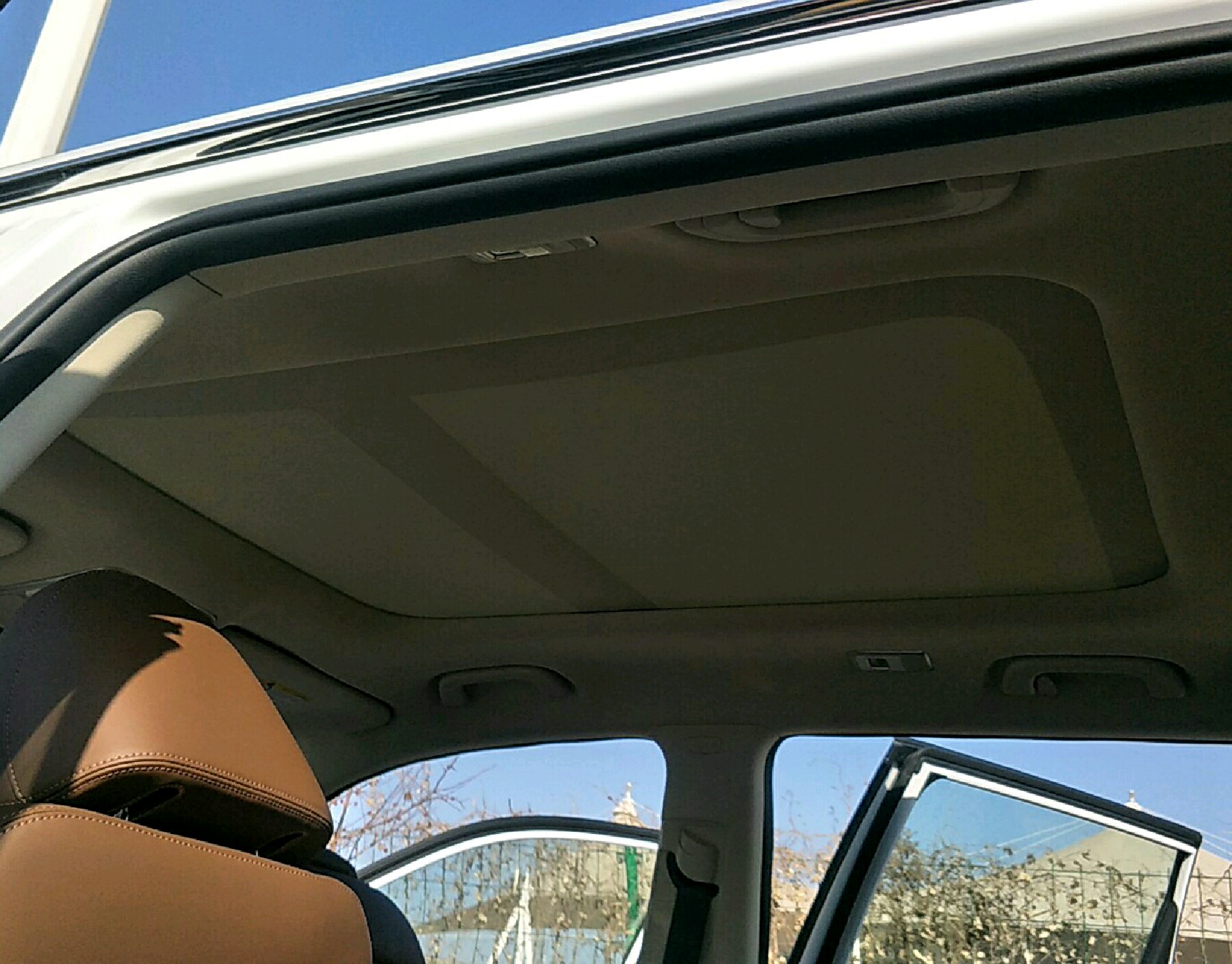 车辆内顶