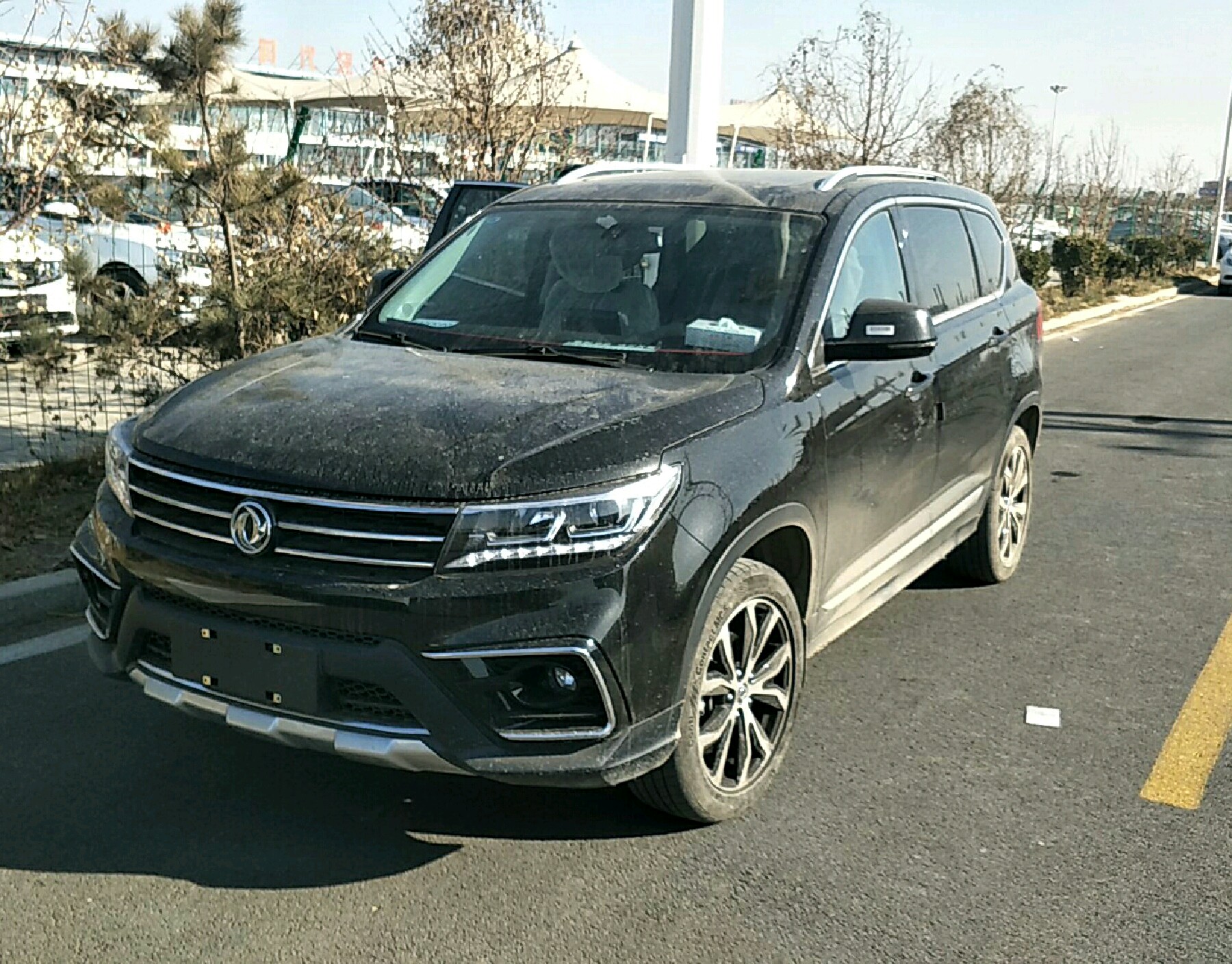 左前45度