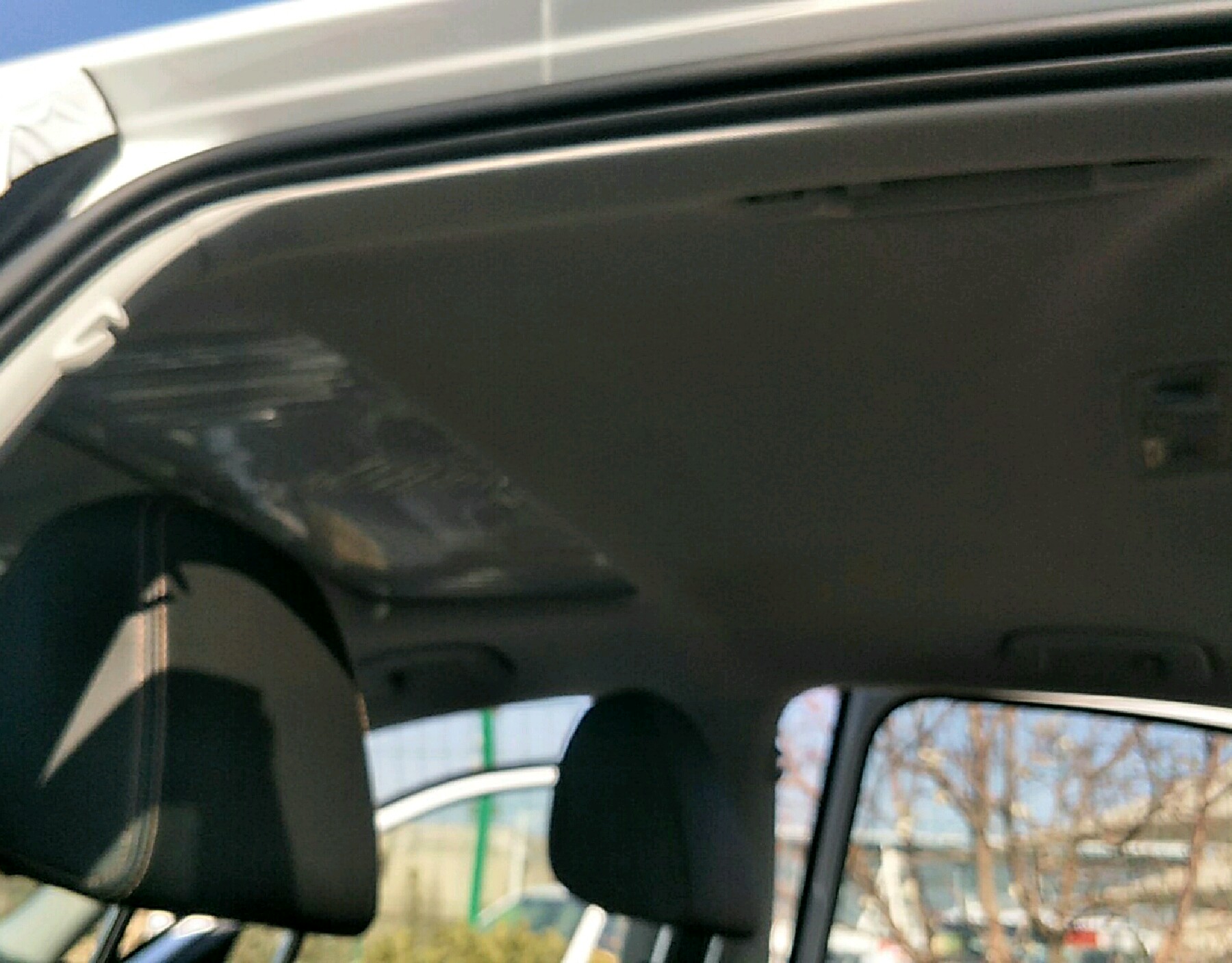 车辆内顶
