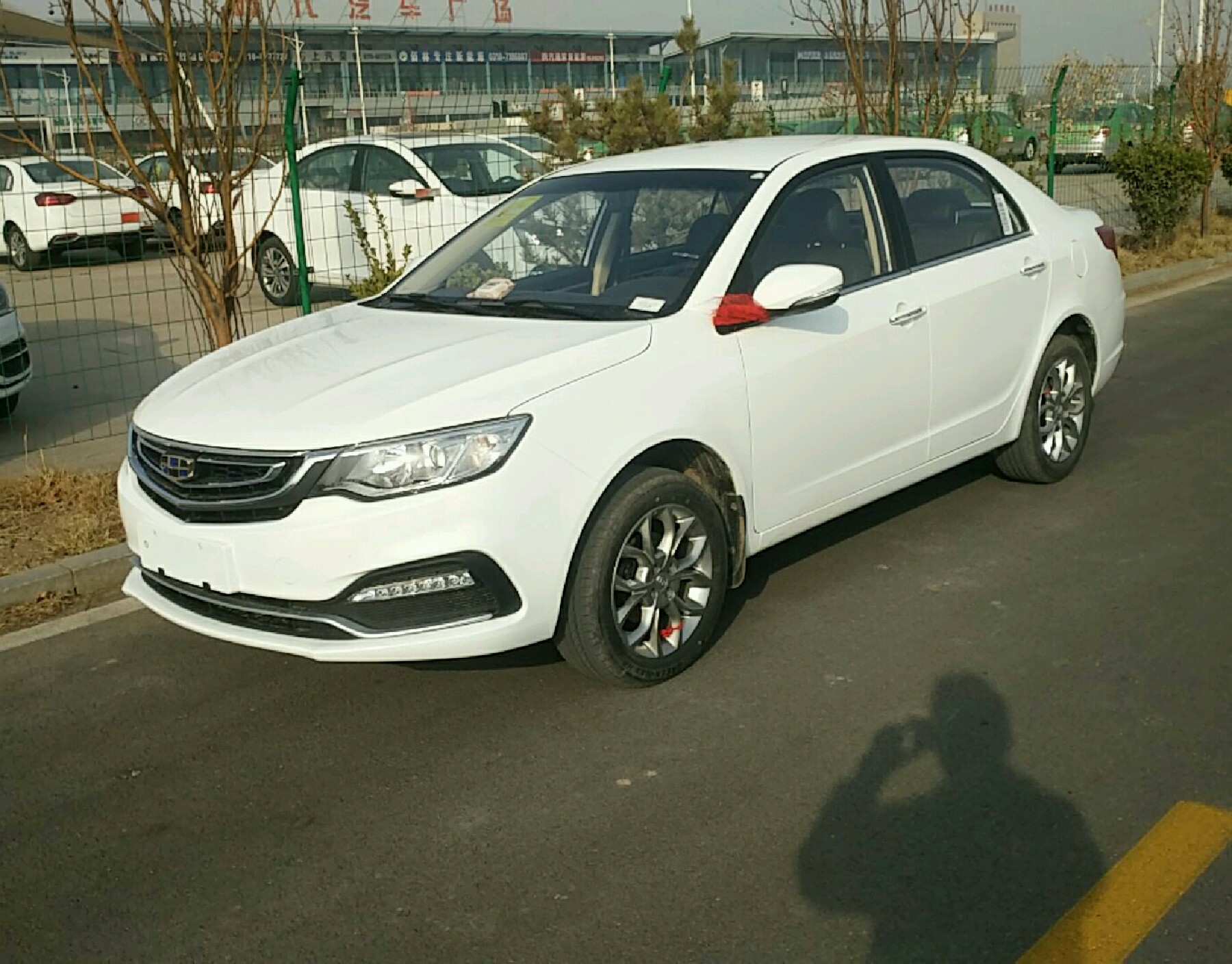 左前45度