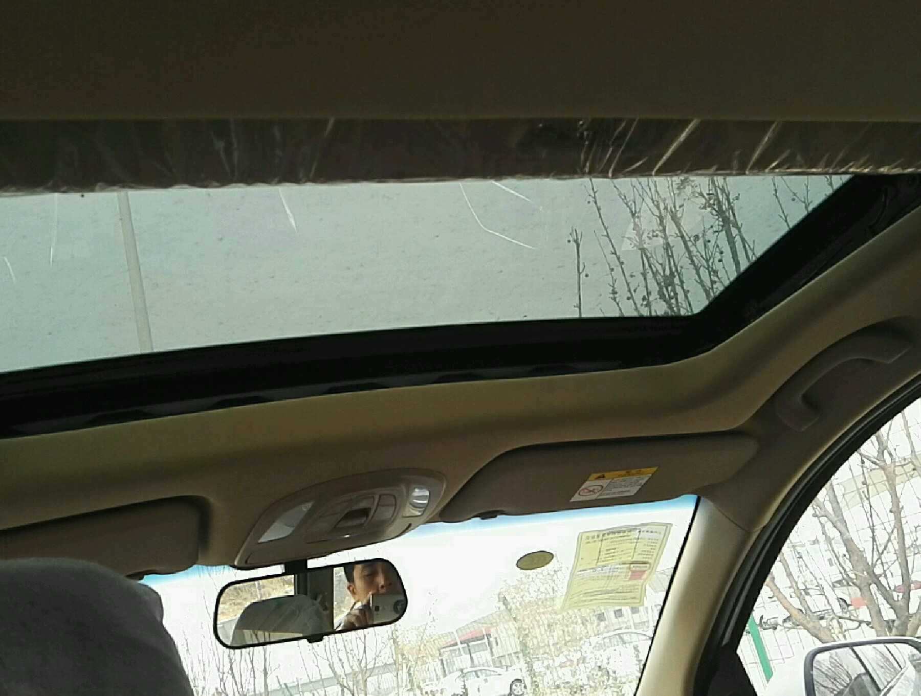 车辆内顶