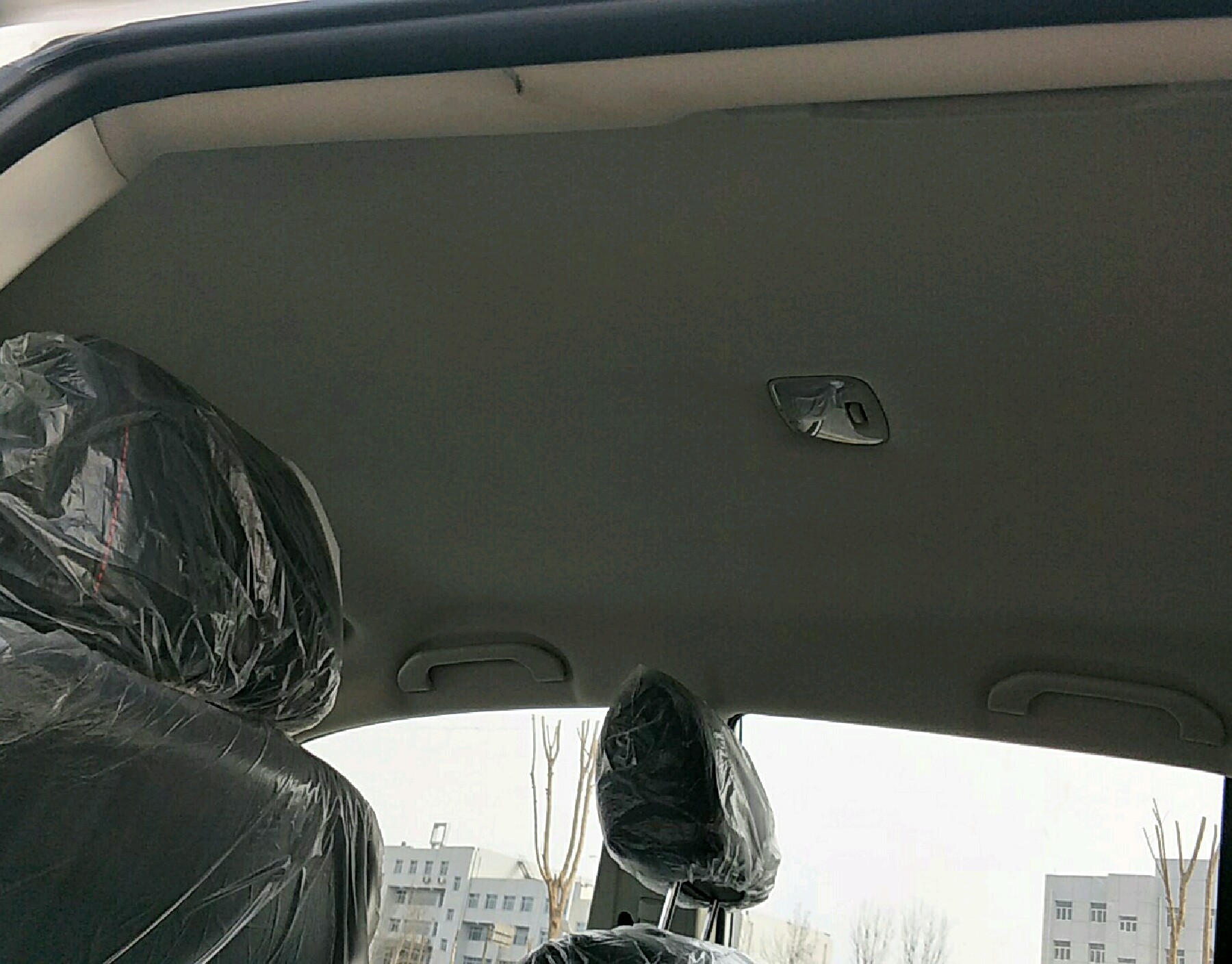 车辆内顶
