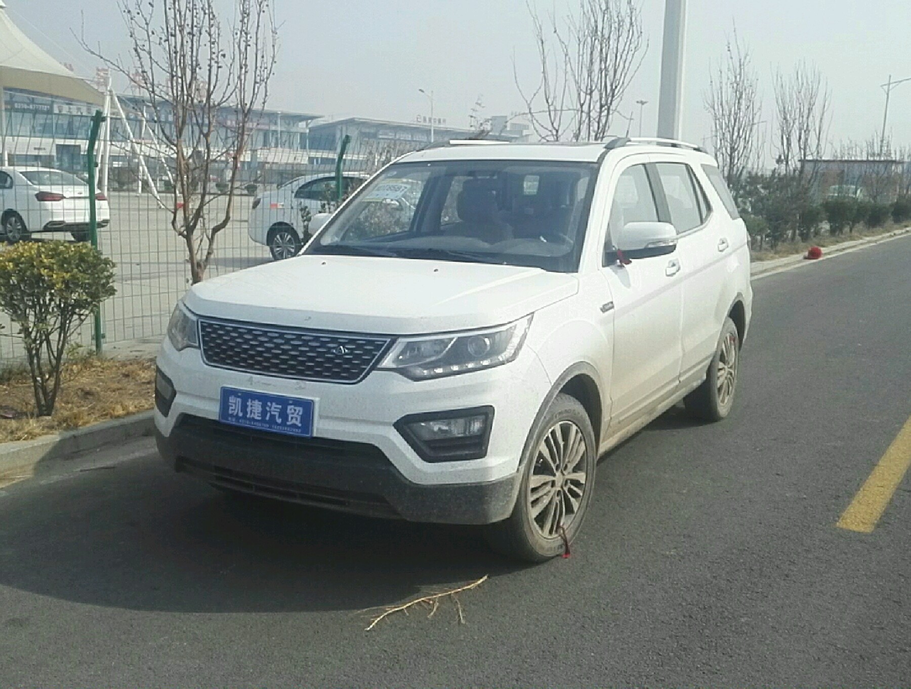 左前45度
