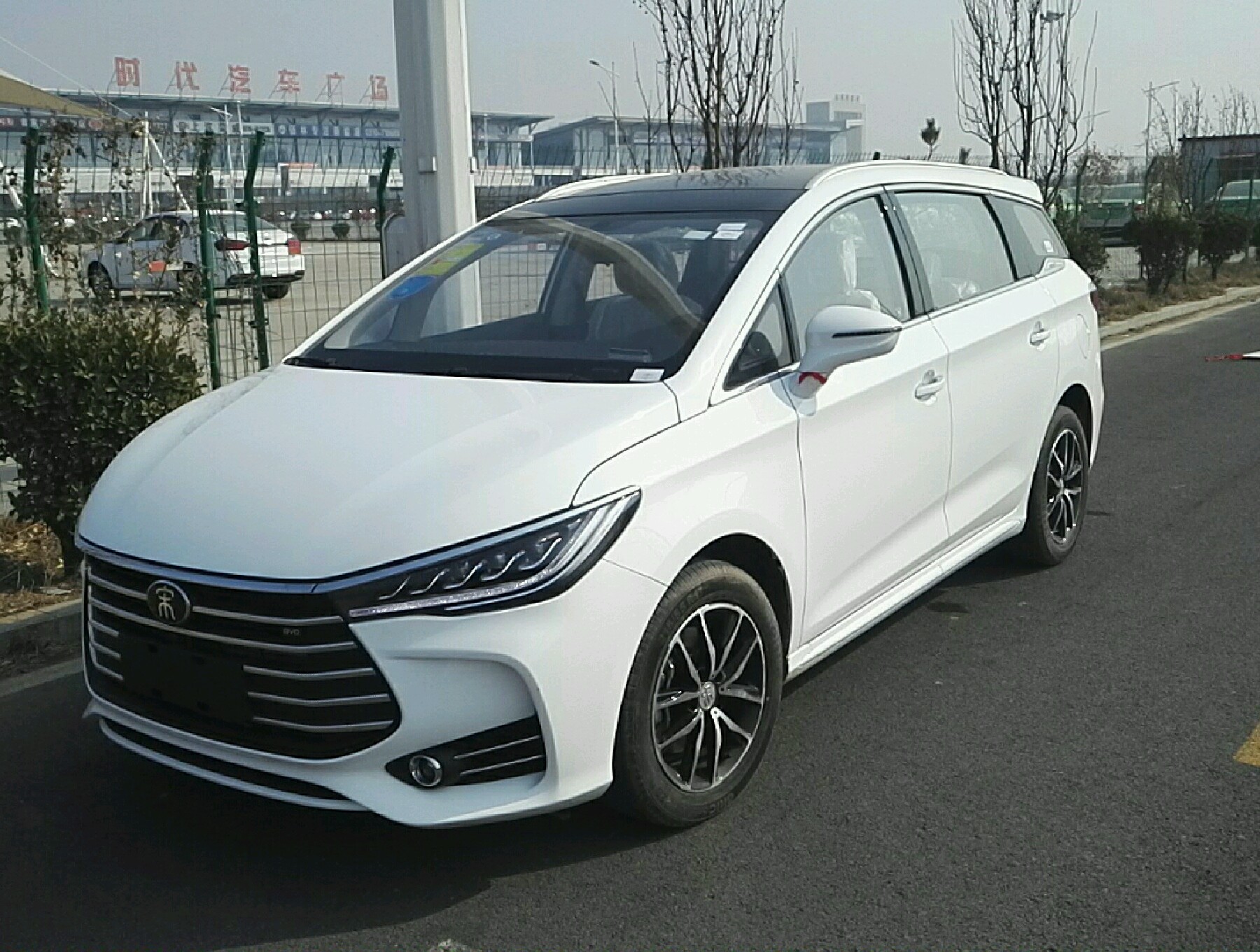 左前45度